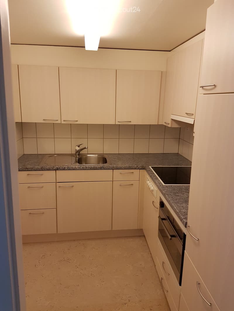 Kitchen with integrated dishwasher, washing machine, gas stove, double sink, and built-in cabinets
