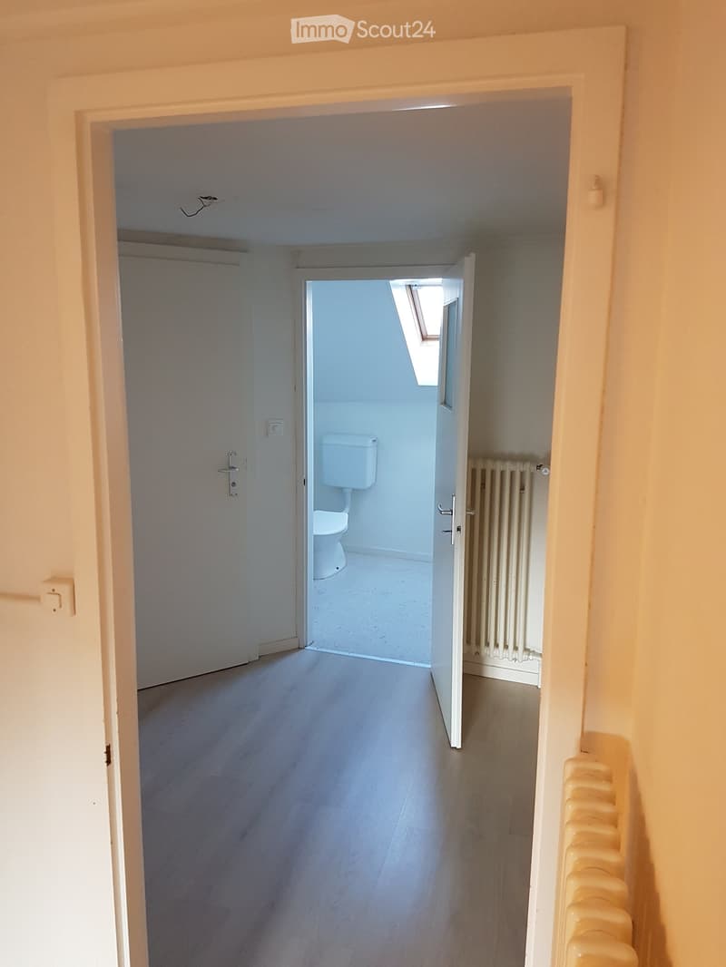 empty room, hallway, white walls, wooden floor, open door, white toilet, white toilet bowl, white radiator, skylight
