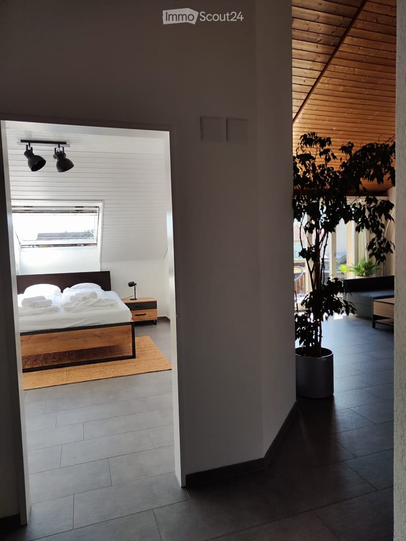 Modern bedroom with a wooden bed, nightstand, lamp, and a large potted plant in the corner. The room features a slanted wooden ceiling and large windows with blinds.