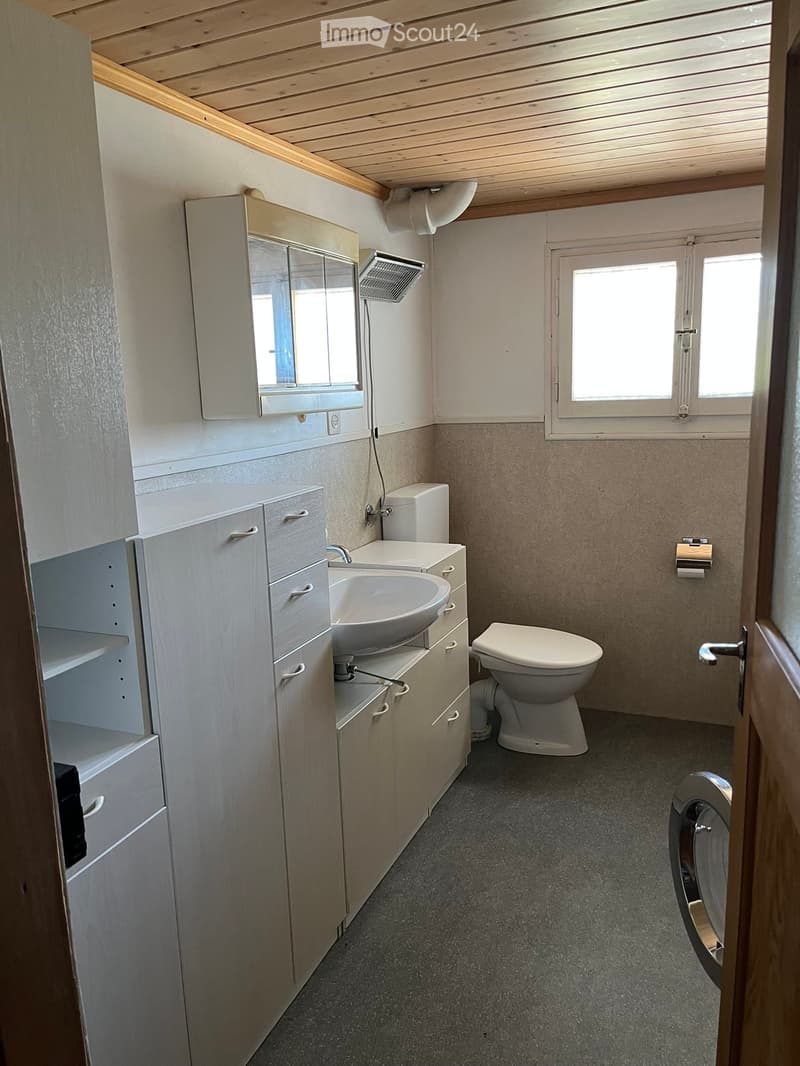 Modern bathroom with a sink, toilet, and built-in cabinets. Features a large mirror above the sink and a window providing natural light.