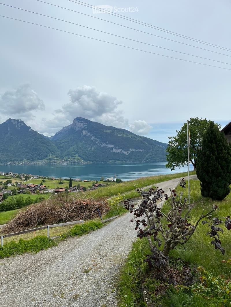 A scenic outdoor view with a gravel path leading towards a lake and mountains in the background, surrounded by greenery and a small tree.