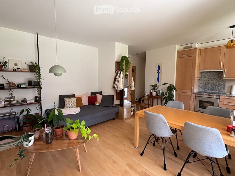 Modern living and dining area with light wooden flooring, a grey sofa with colorful cushions, a round coffee table with potted plants, a dining table with chairs, and a kitchen area with cabinets and an oven.