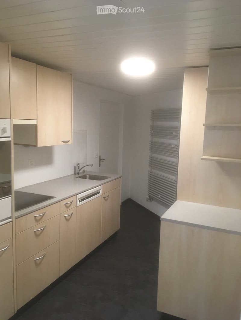 Modern kitchen with light wood cabinets, stainless steel sink, oven, dishwasher, and radiator.
