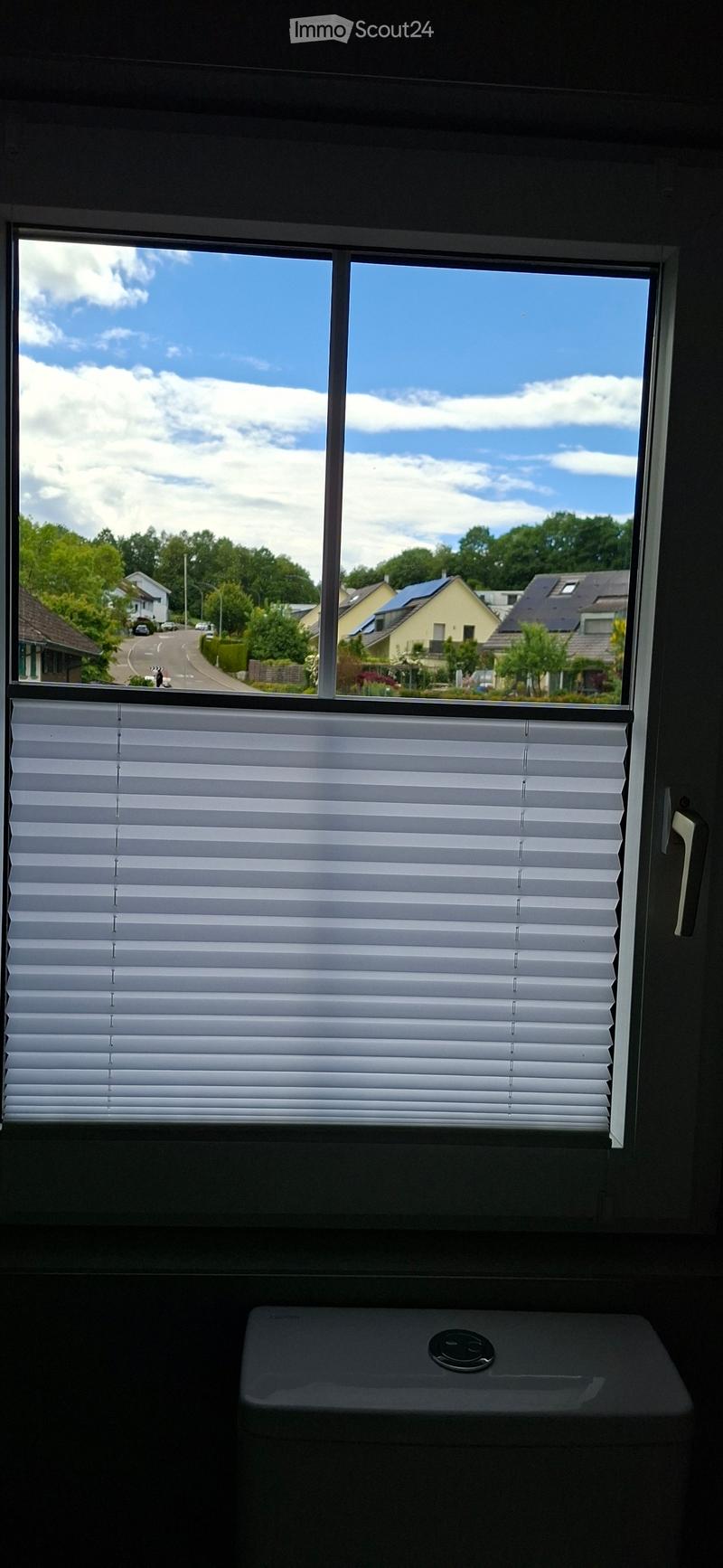 Window with white blinds, showing a view of a suburban street with houses and trees.