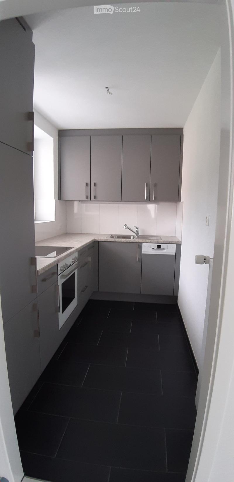 Modern kitchen with grey cabinets, black tiled floor, white walls, and stainless steel appliances including an oven, sink, and dishwasher.