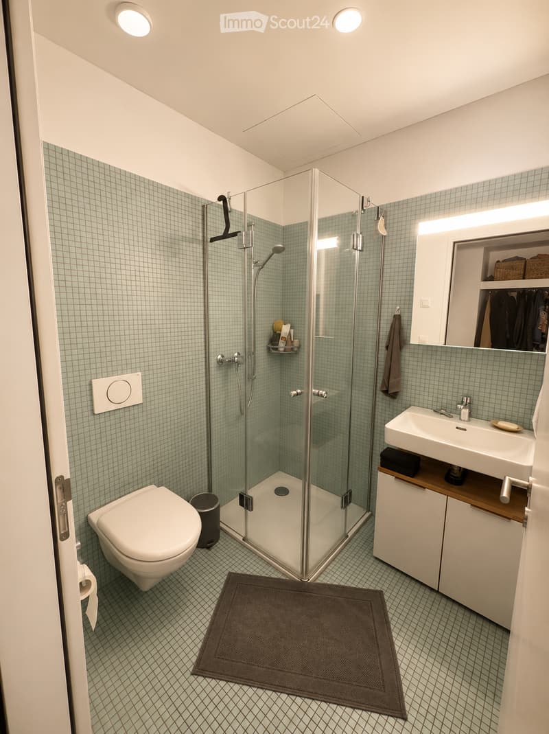 Modern bathroom with a glass-enclosed shower, toilet, sink with a wooden countertop, and a built-in mirror cabinet. The walls and floor are tiled with a subtle grid pattern, and a dark brown rug is placed in front of the sink.