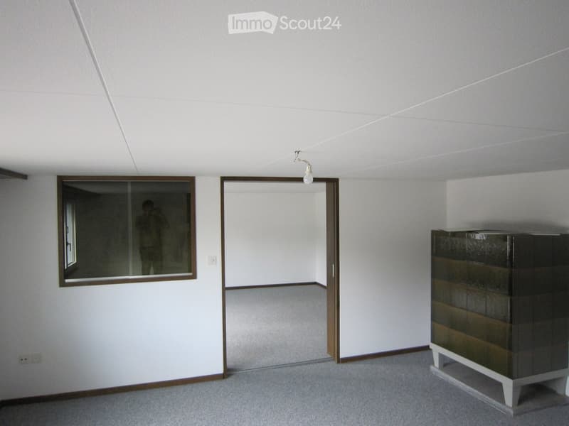 A small, unfurnished room with white walls, carpeted floor, and a single cabinet. There are two mirrors on the wall and a light fixture on the ceiling.