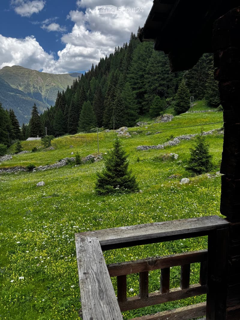 A scenic mountain view from a wooden balcony, featuring a lush green meadow with wildflowers and tall pine trees.