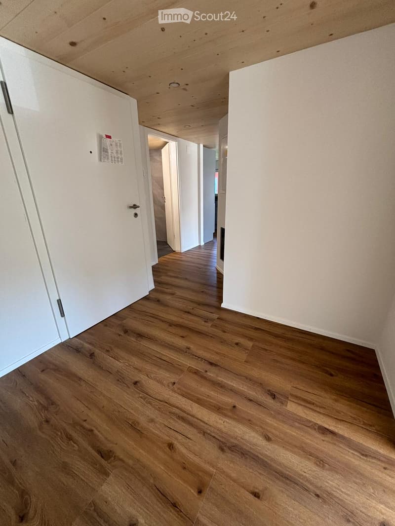 Empty hallway, wooden floor, white walls, light on ceiling, closed doors at end of hallway