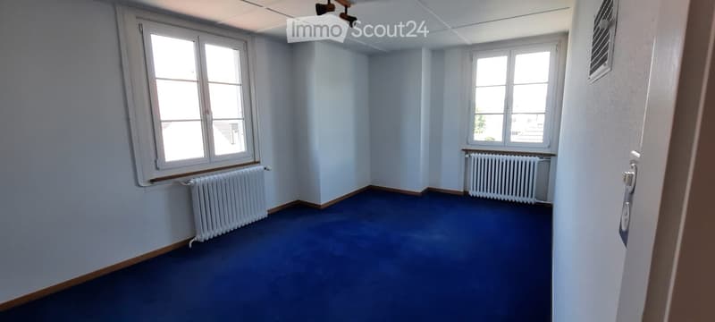 Empty room with light blue walls, blue carpeted floor, two windows, and radiators on either side.