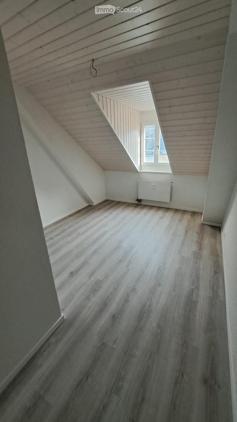 Empty attic space with wooden floors, white walls, and a skylight window allowing natural light to enter.