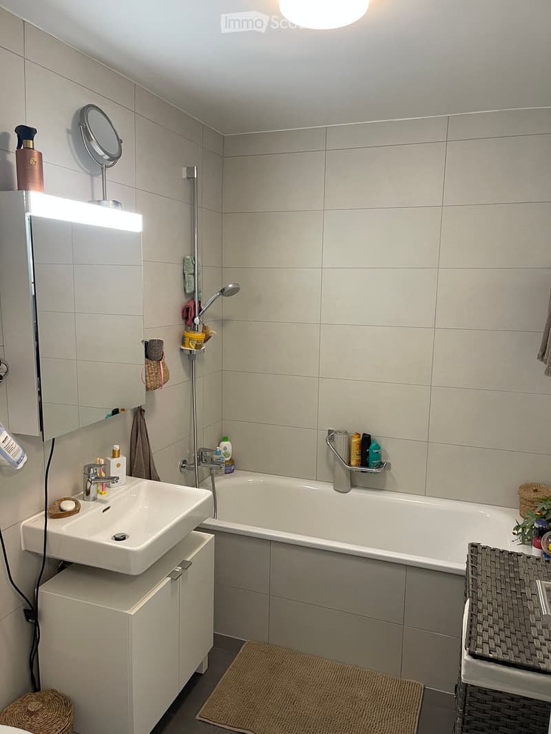 Modern bathroom with a white sink, bathtub, and mirror. Features tiled walls, a showerhead, and various bathroom accessories neatly arranged on shelves and the sink counter.