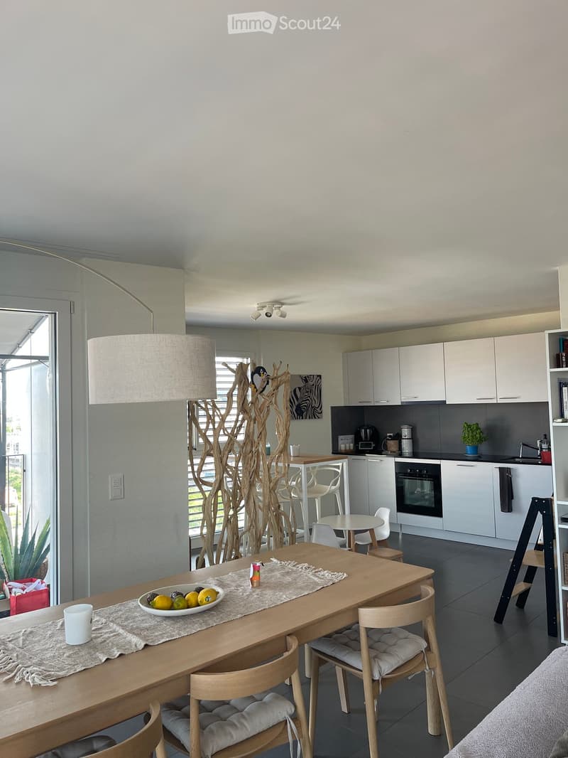 Bright, modern living and dining area with white cabinets, a wooden dining table, and a cozy seating area with a lamp and decorative tree sculpture.