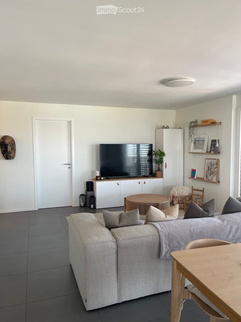 Modern living room with grey sofa, coffee table, TV, wooden dining table, and decorative shelves.