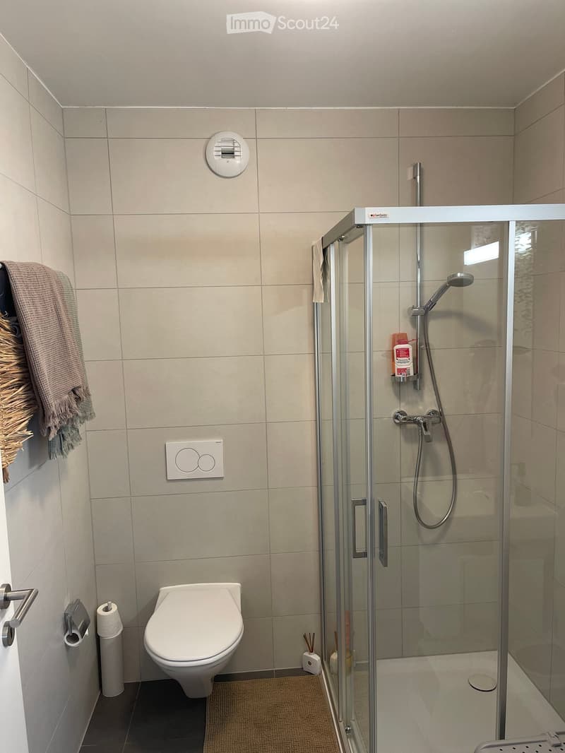 Modern bathroom with a toilet, glass-enclosed shower, towel, toilet paper, and shower gel.
