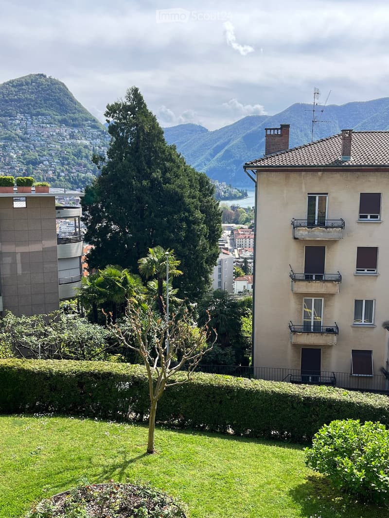 Garden with green lawn, trimmed hedges, small tree, and scenic mountain view in the background.