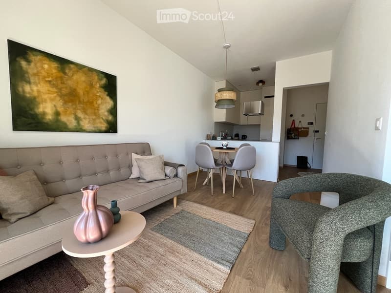 {"type": "Furnished Room", "objects": ["sofa", "table", "chair", "vase", "cup", "kitchen cabinet", "kitchen sink", "kitchen faucet", "kitchen counter", "kitchen chair", "kitchen table", "kitchen stool", "kitchen light", "kitchen exhaust fan", "kitchen app