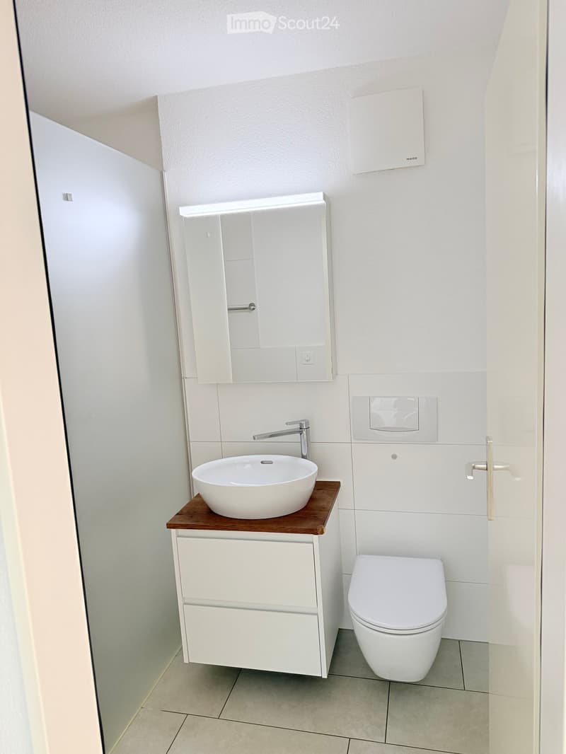 Modern bathroom with a white sink, wooden countertop, mirror cabinet, and toilet.