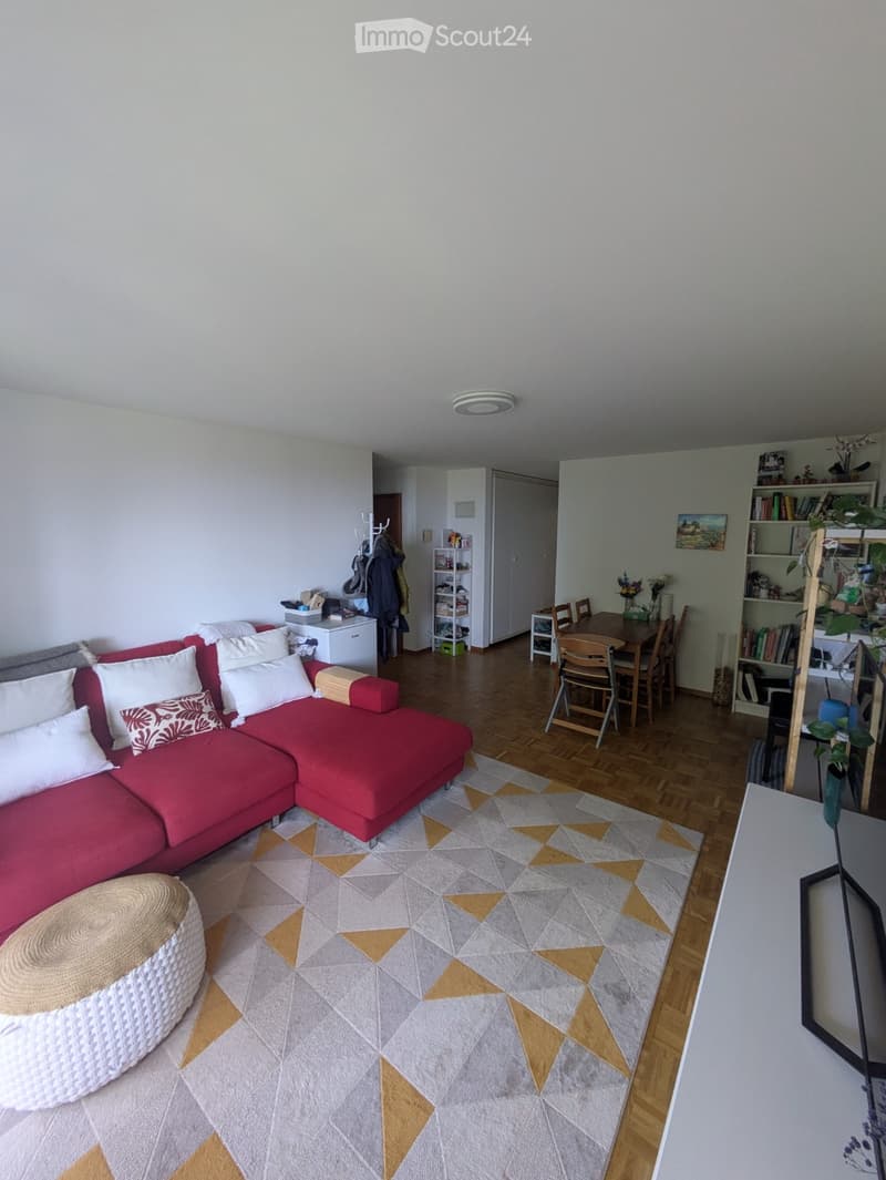A modern living room with a red sectional sofa, white ottoman, geometric patterned rug, dining area with table and chairs, and shelves with books and plants.