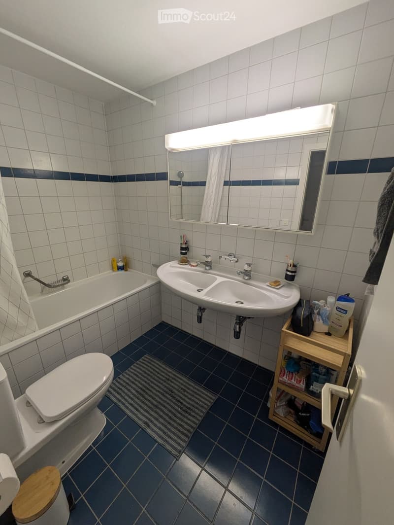 Bathroom with white tiles, blue accents, bathtub, double sink, toilet, mirror, and wooden shelf with personal items.