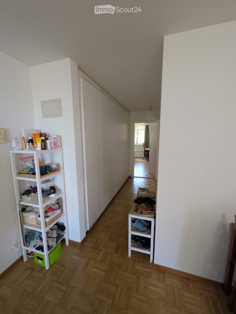 A narrow hallway with wooden flooring, white walls, and a closet on the left. A small shelf holds various items, and a shoe rack is placed on the right side.
