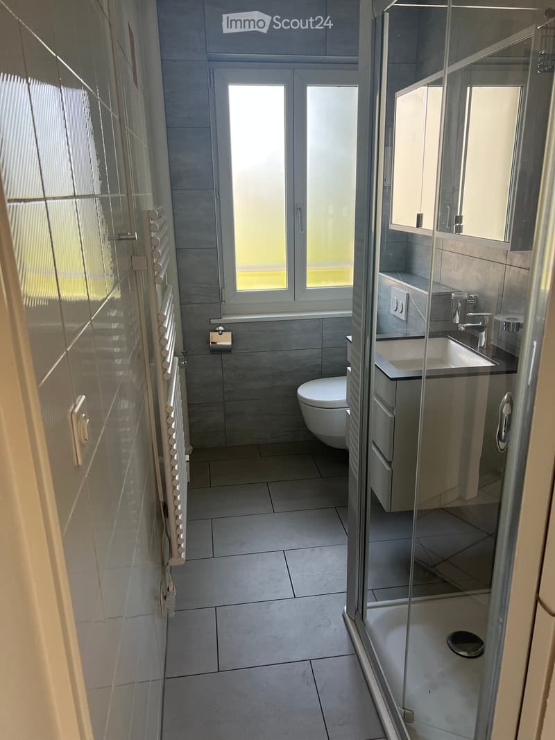Modern bathroom with grey tiles, a toilet, a sink with a mirror, and a glass-enclosed shower area.