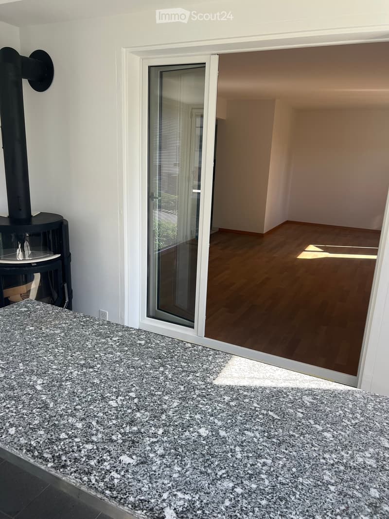 A modern kitchen area with a granite countertop, a black fireplace, and a sliding glass door leading to a wooden-floored room.