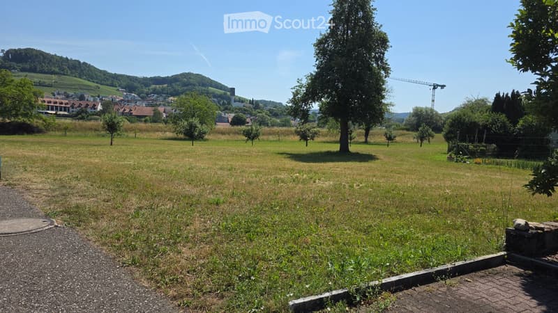 Open grassy field with scattered trees, distant town, and hills under a clear blue sky.