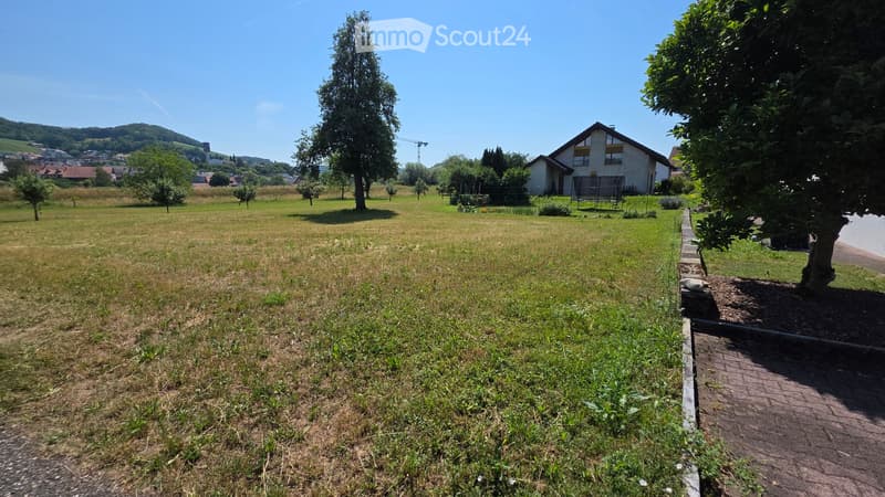 A spacious, grassy garden area with scattered trees, a small house in the background, and a clear blue sky.