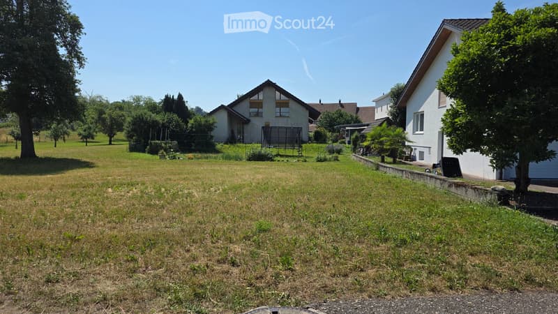A large, grassy yard with a few trees and a trampoline in the background, surrounded by houses and greenery.