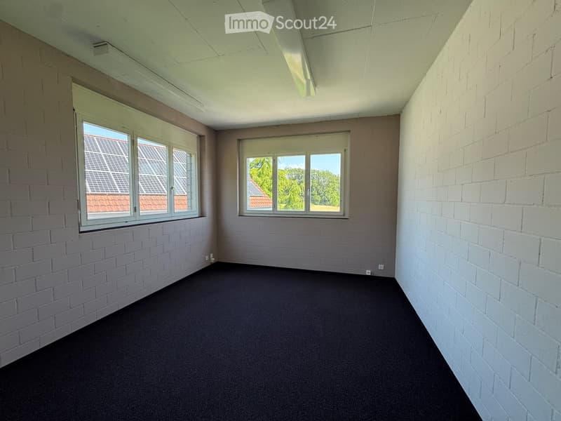 Empty room with exposed brick walls, carpeted floor, and large windows offering views of neighboring buildings and greenery.
