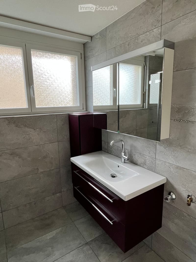 Modern bathroom with a white sink, dark wooden cabinet, large mirror, and frosted windows allowing natural light.