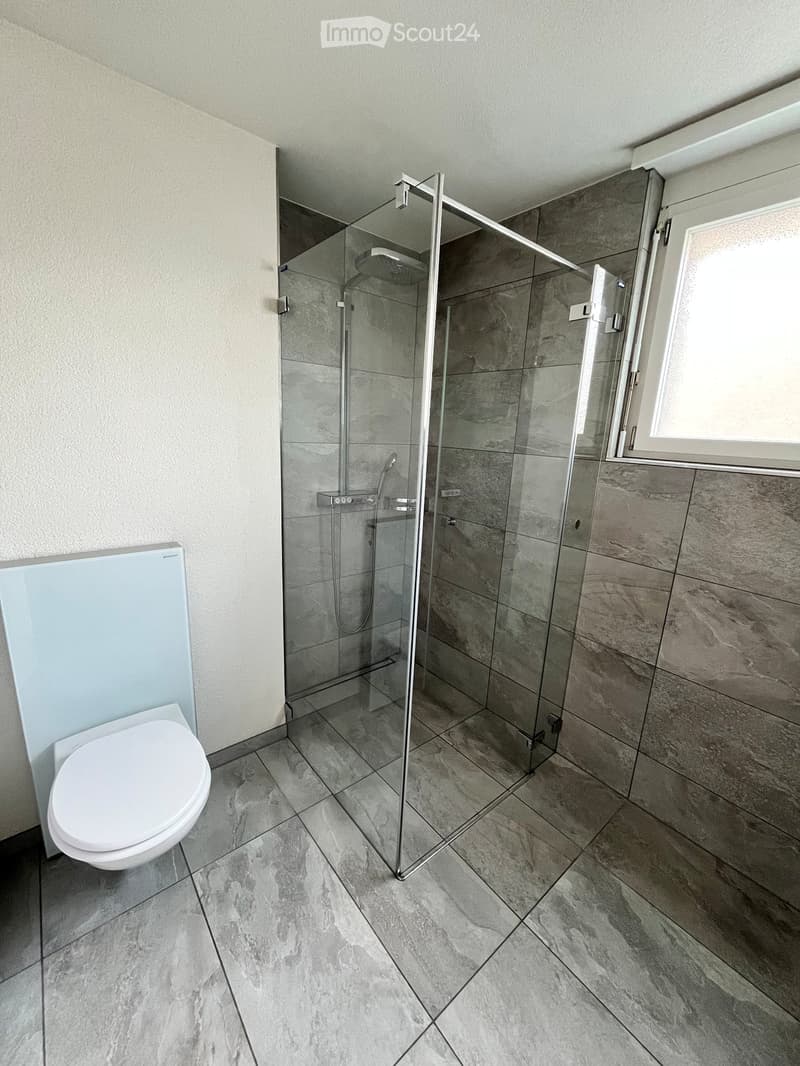 Modern bathroom with a white toilet, a glass-enclosed shower, and grey marble tiles on the floor and walls.