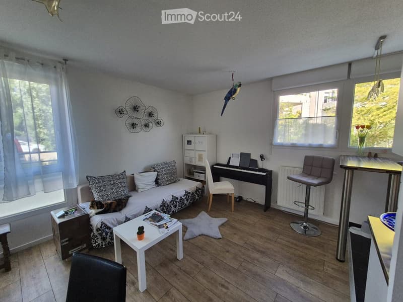 {"type": "Furnished Room", "objects": ["sofa", "stool chair", "stool", "stool chair", "stool", "stool chair", "stool", "stool", "stool", "stool", "stool", "stool", "stool", "stool", "stool", "stool", "stool", "stool", "stool", "stool", "stool", "stool", "