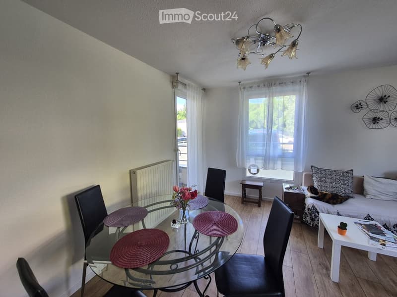 A well-lit living room with a glass dining table, four chairs, a sofa with a cat, a small table with a plant, and a radiator near the window.