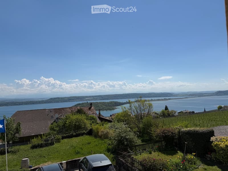 View from a balcony or terrace overlooking a vineyard, a lake, and distant hills under a clear blue sky.