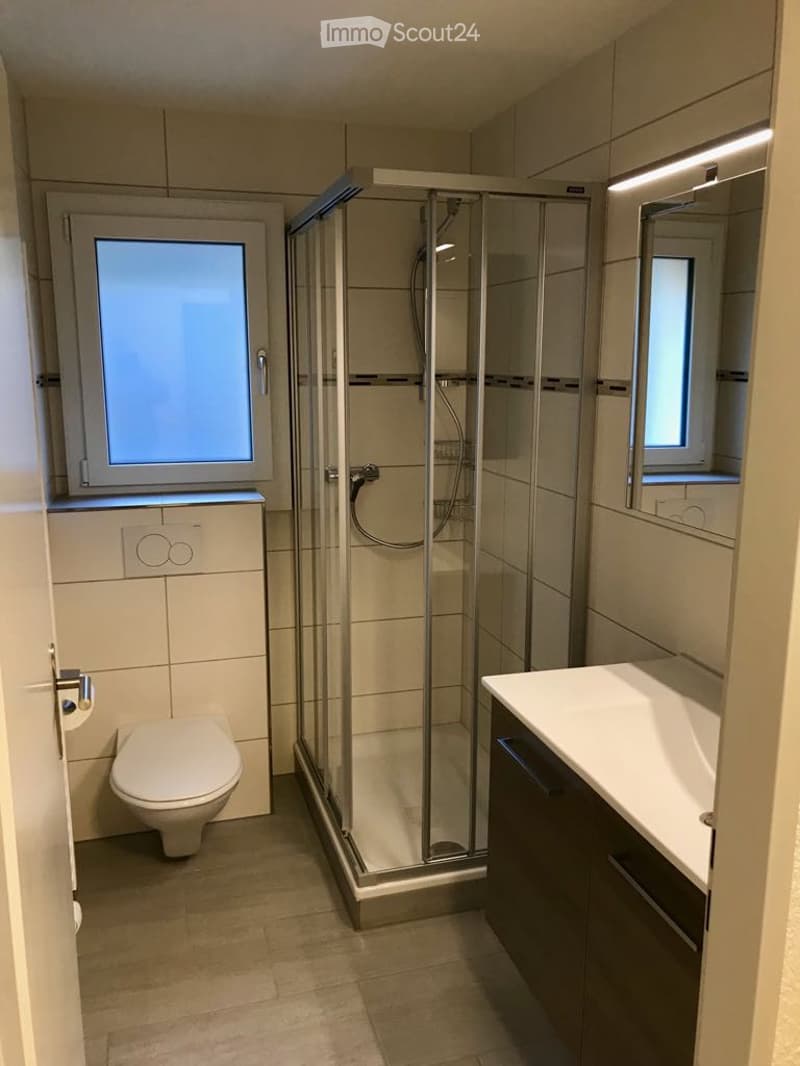 Modern bathroom with a glass-enclosed shower, toilet, sink with cabinet, and a mirror above the sink. The room features tiled walls and floor, and has two windows providing natural light.