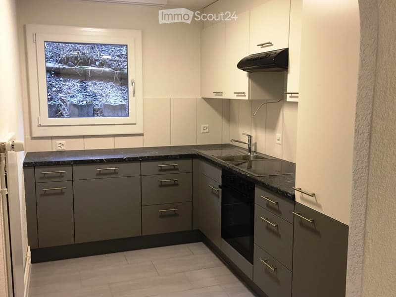 Modern kitchen with grey cabinets, black countertops, a sink, faucet, and built-in oven. The window shows a snowy outdoor view.
