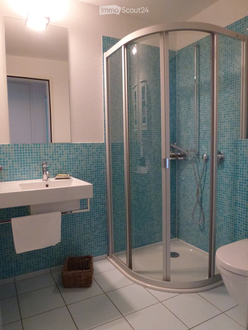 Modern bathroom with a glass-enclosed shower, white sink, and toilet. Features blue tiled walls and a wicker basket on the floor.