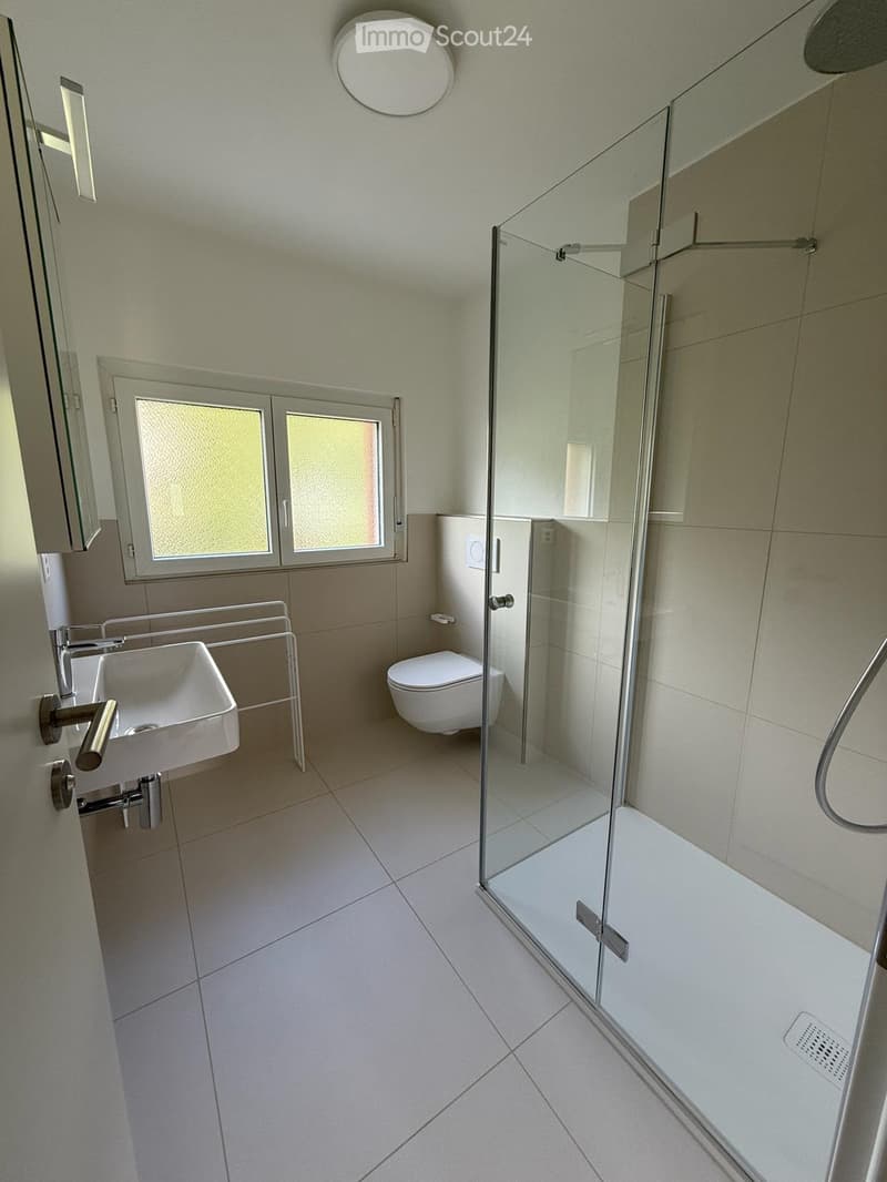 Modern bathroom with a glass-enclosed shower, a white toilet, and a sink with a chrome faucet. The room features tiled walls and a large window with frosted glass.