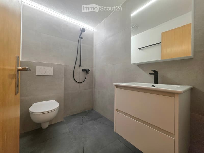 Modern bathroom with grey tiled walls, a white toilet, a sink with a black faucet, a mirror with built-in storage, and a shower head with a handheld sprayer.