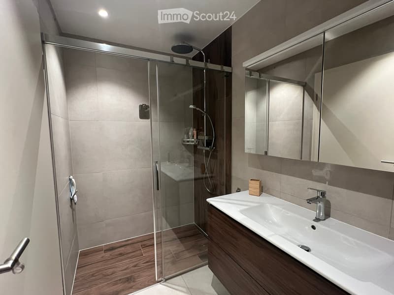 Modern bathroom with a glass-enclosed shower, a white sink with a chrome faucet, a large mirror, and wooden flooring.