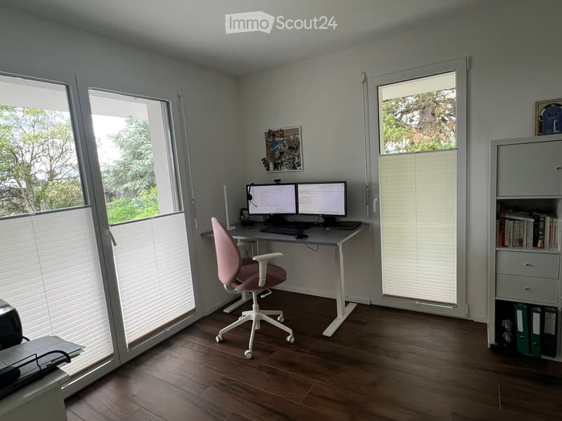 Modern office space with wooden flooring, large windows, a pink office chair, a white desk with dual monitors, a keyboard, a mouse, and a cabinet with books and binders.