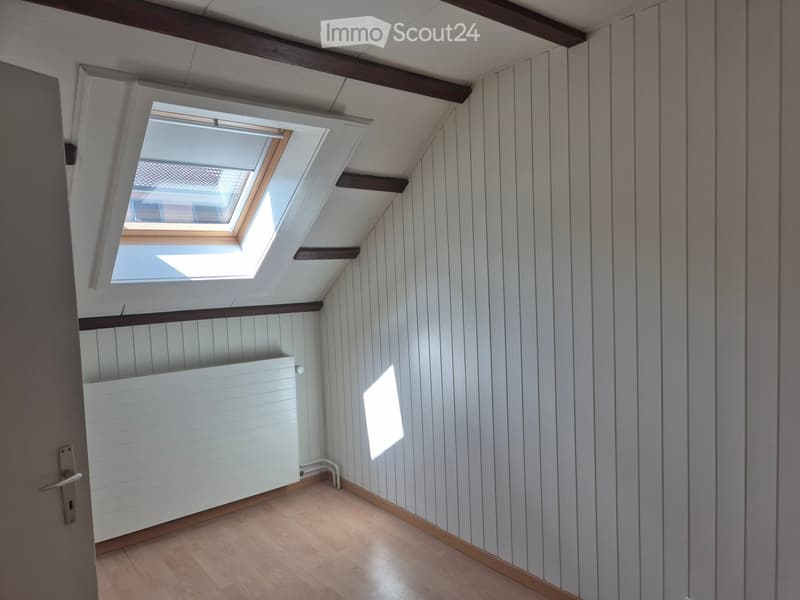 Empty attic space with wooden walls, wooden floor, skylight window, and radiator.