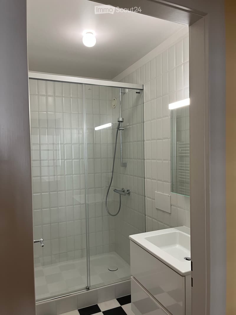 Wunderschöne 2.5-Zimmer-Wohnung im Dorf Lutry (6)