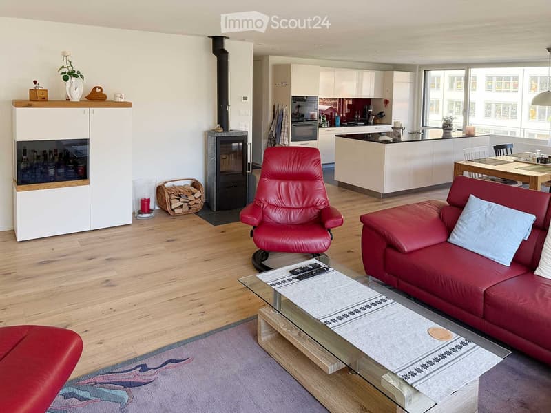living room with fireplace, two red leather couches, a coffee table, an armchair, white cupboards and a kitchen