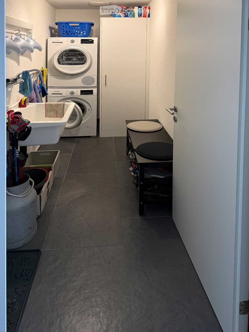 washing machine, dryer, sink, storage boxes, shelves, open door