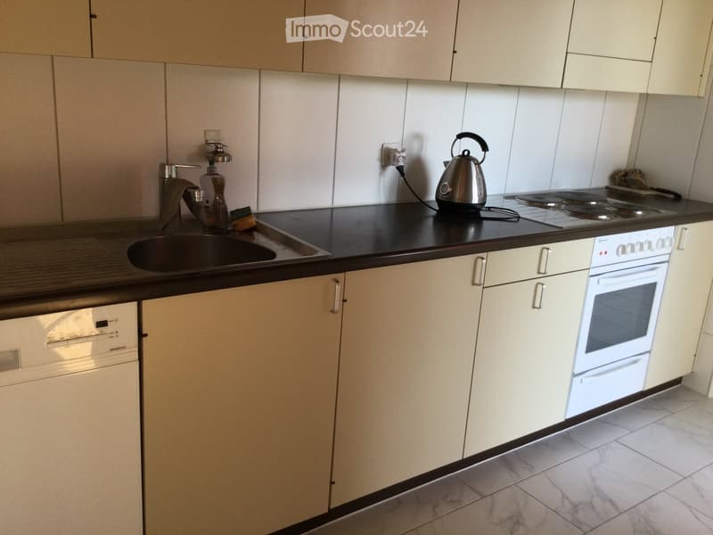Modern kitchen with light-colored cabinets, a black countertop, and stainless steel appliances including an oven, dishwasher, and electric kettle. Features a sink with a faucet and a small induction stove.
