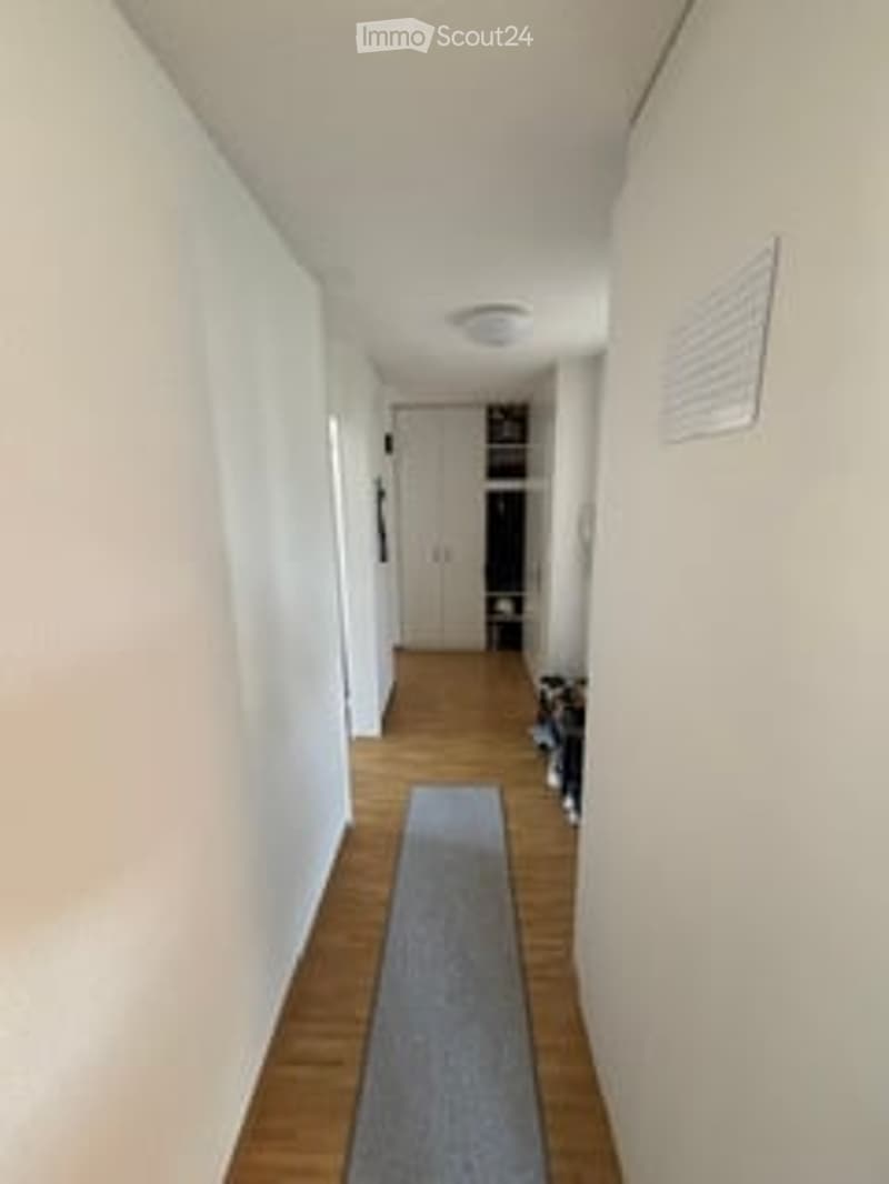 A narrow hallway with light wooden flooring, white walls, and a gray runner. The ceiling has a recessed light fixture, and there is a small black object near the end of the hallway.