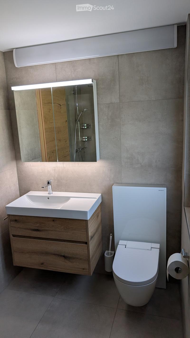 Modern bathroom with a white sink, wooden cabinet, mirror with built-in lighting, toilet, and toilet paper holder.
